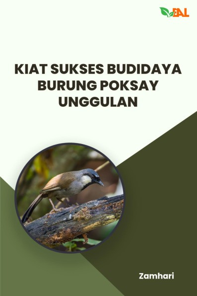 Kiat Sukses Budidaya Burung Poksay Unggulan